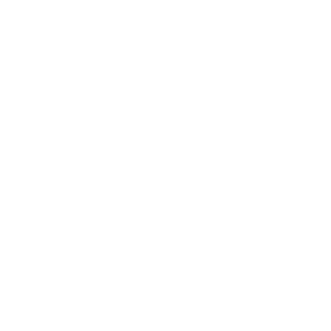 File Backup Icon