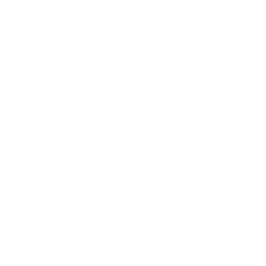 Patch Management Icon