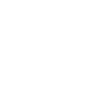System Health Monitoring Icon