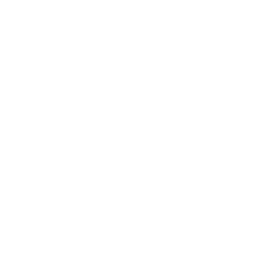 Threat Protection Icon